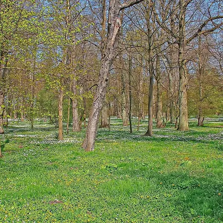 Ostseebad Breege Apartment *
