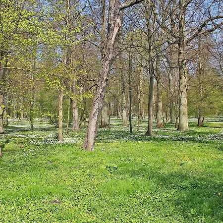 Ostseebad Breege Altenkirchen (Mecklenburg-Vorpommern)